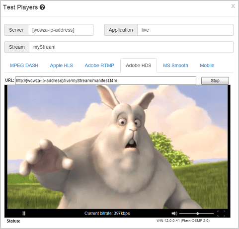 rtmp_testplayer